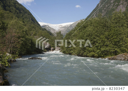 River and Buarbreen glacier (Folgefonna National Park, Norway) River and Buarbreen glacier (Folgefonna National Park, Norway) 8230347