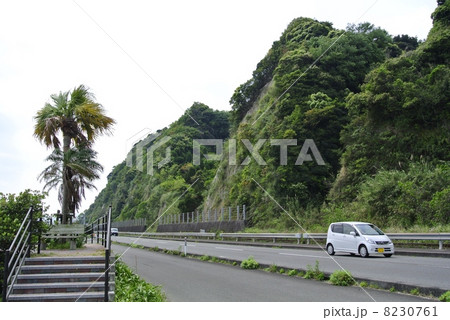鹿児島市から指宿への国道226号線 8230761