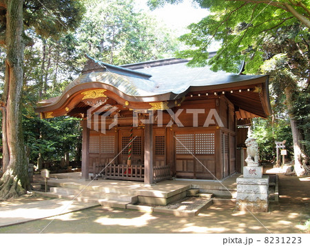 流山・大宮神社 8231223