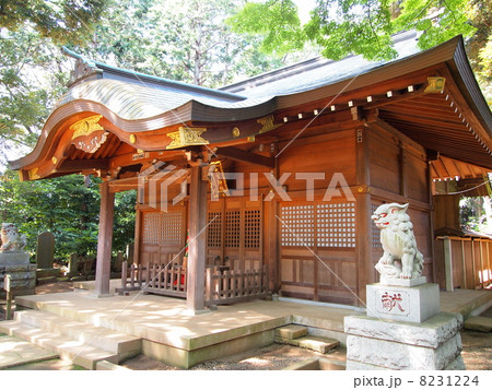 流山・大宮神社 流山・大宮神社 8231224
