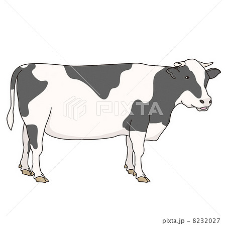 牛のイラストのイラスト素材 8232027 Pixta