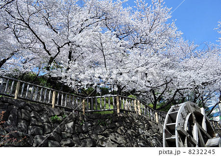 音無親水公園 8232245
