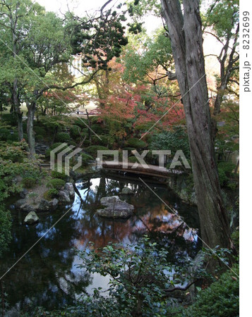 秋の紅葉渓庭園 8232699