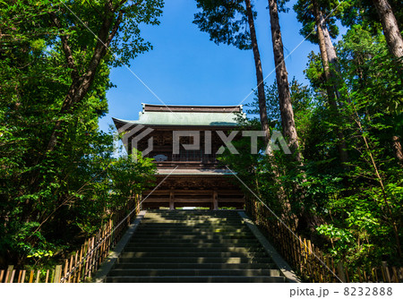 鎌倉　円覚寺　三門 8232888