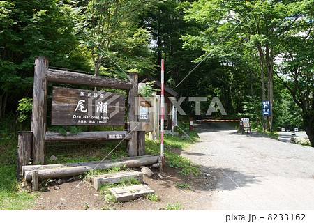 尾瀬　大清水登山口 8233162