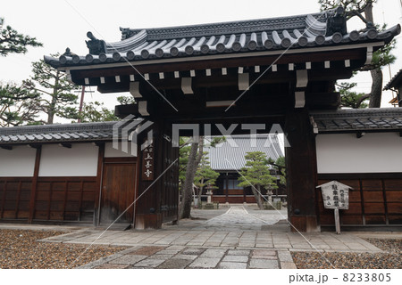上善寺 上善寺 8233805