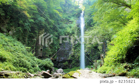 阿弥陀ヶ滝 8235821