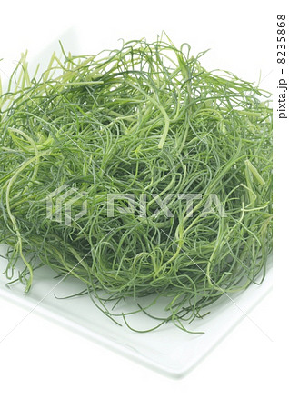 おかひじき 8235868