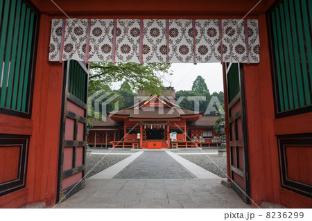 富士山本宮浅間大社楼門と拝殿 富士山本宮浅間大社楼門と拝殿 8236299