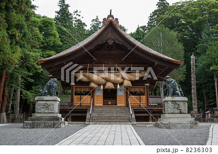 諏訪大社下社秋宮拝殿 諏訪大社下社秋宮拝殿 8236303