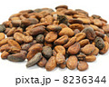 カカオ豆 8236344
