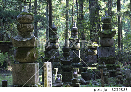 高野山奥之院の墓石 高野山奥之院の墓石 8236383