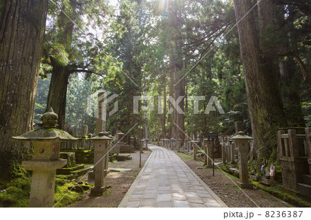高野山 奥の院の参道 高野山 奥の院の参道 8236387