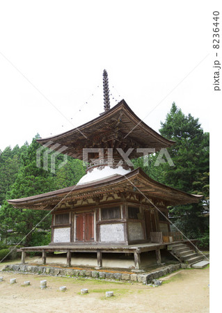 高野山　金剛三昧院多宝塔 8236440
