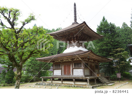 高野山　金剛三昧院多宝塔 8236441