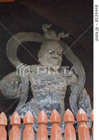 高野山　大門の金剛力士像 8236448