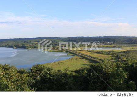 釧路湿原の絶景 釧路湿原の絶景 8236567