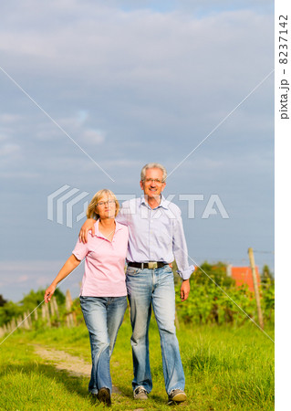 Seniors in summer walking hand in hand Seniors in summer walking hand in hand 8237142