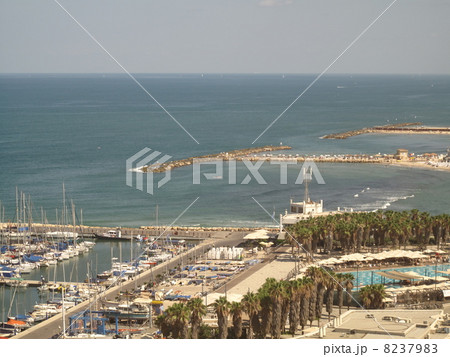 イスラエル 8237983