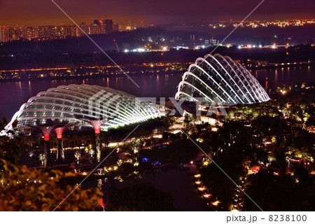 ガーデンズ・バイ・ザ・ベイ 8238100