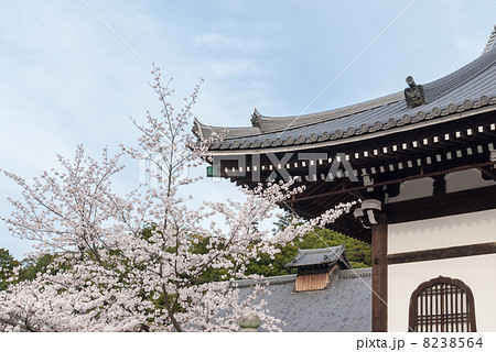 くろ谷　金戒光明寺　阿弥陀堂 8238564