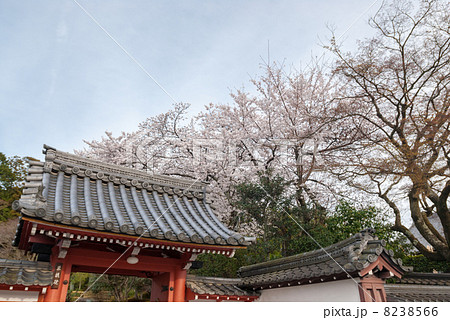 金戒光明寺塔頭　栄摂院 8238566