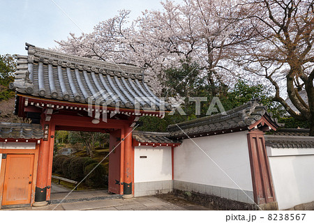 金戒光明寺塔頭　栄摂院 8238567