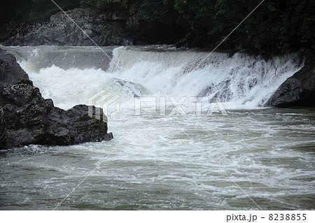 雨の川代渓谷 雨の川代渓谷 8238855