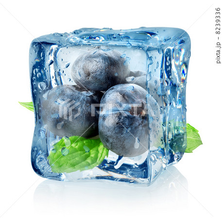 Ice cube and blueberry 8239336
