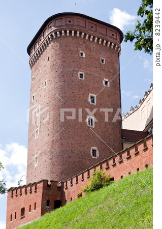 Senatorska tower of Krakow castle 8239442