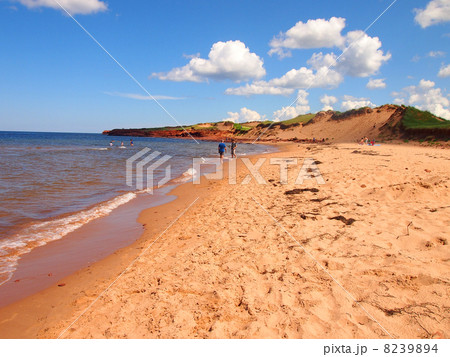 プリンス・エドワード島　キャベンディッシュ・ビーチ 8239894