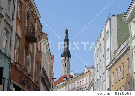 タリン タリン 8239963