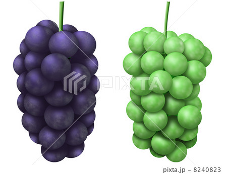 kyoho&muscat kyoho&muscat 8240823