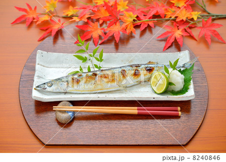 注意）紅葉（もみじ）はイミテーション（模造品）です。サンマの塩焼き。 8240846