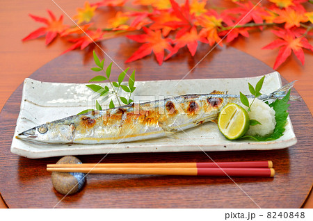 注意）紅葉（もみじ）はイミテーション（模造品）です。サンマの塩焼き。 8240848