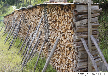 薪木乾燥 薪木乾燥 8241164