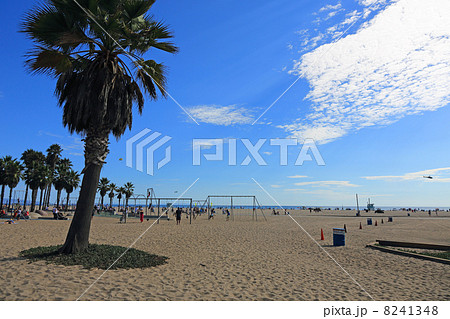 夏のロサンゼルス、サンタモニカ 8241348