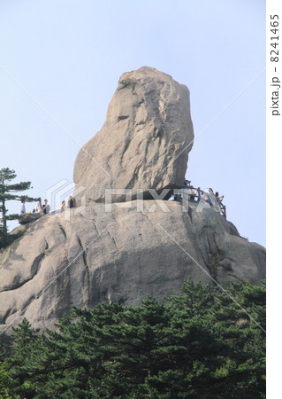 世界遺産　中国　黄山の絶景 8241465