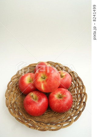 シナノピッコロ シナノピッコロ 8241499