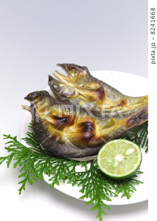 鮎の一夜干し 8241668