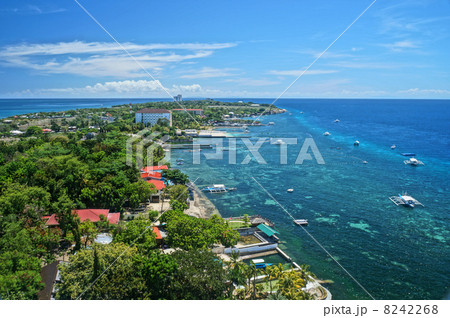 フィリピン　マクタン島の風景 8242268