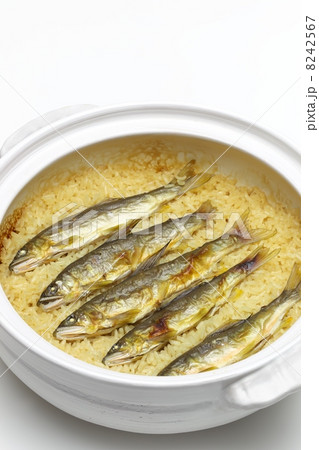 鮎飯 鮎飯 8242567