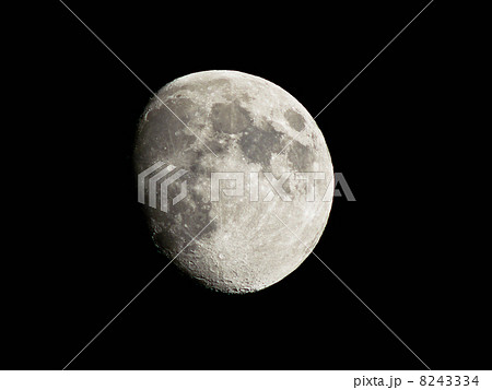 月（月齢10） 8243334