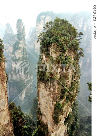 映画Avatarのハレルヤ山！＠張家界 8243565