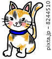 三毛猫　tortoishellcat 8244510