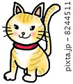 とら猫　redtabbycat　whitesox 8244511
