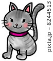 グレーのトラ猫　graytabbycat 8244513