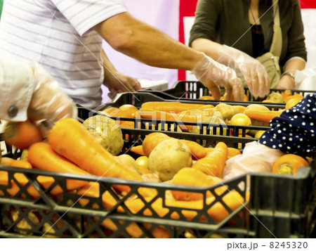 野菜のつかみ取り（手あり） 8245320