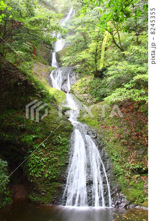 阿寺の七滝 阿寺の七滝 8245355