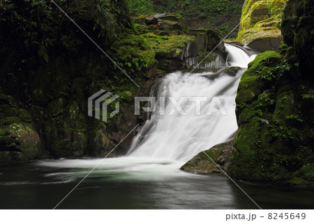 赤目四十八滝　霊蛇滝 8245649